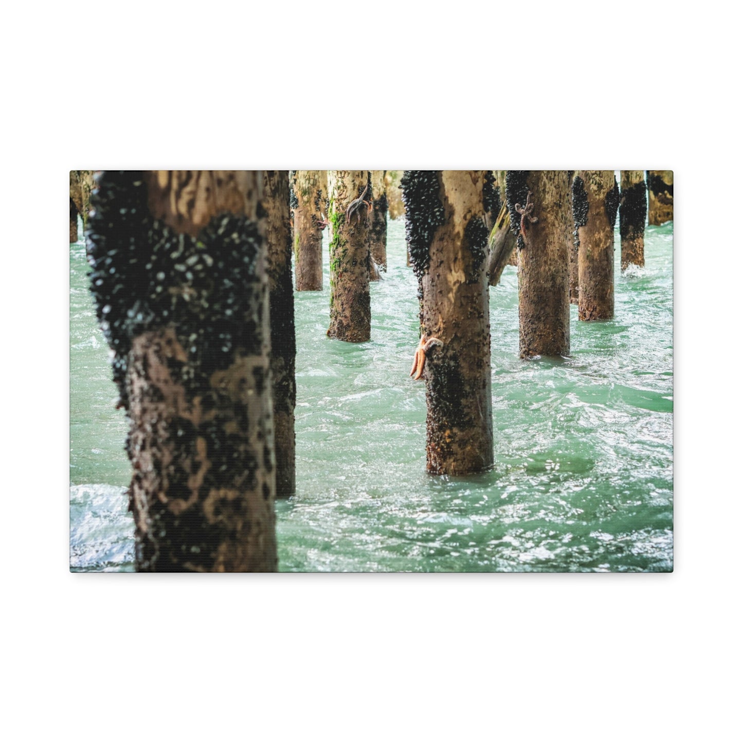 Coastal Pier Photo Canvas – Moody Ocean Pilings Wall Art
