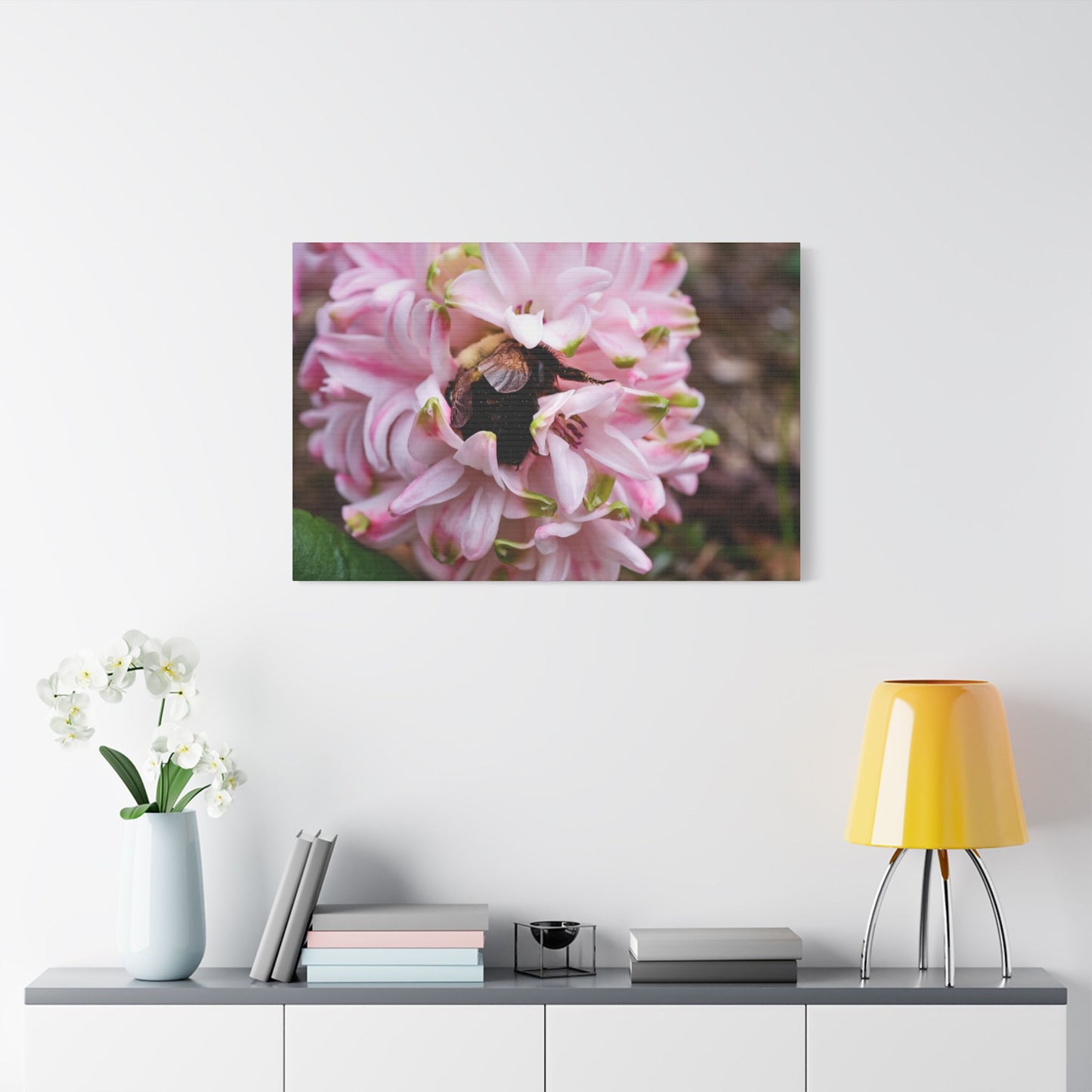 Pink Hyacinth Bee Canvas