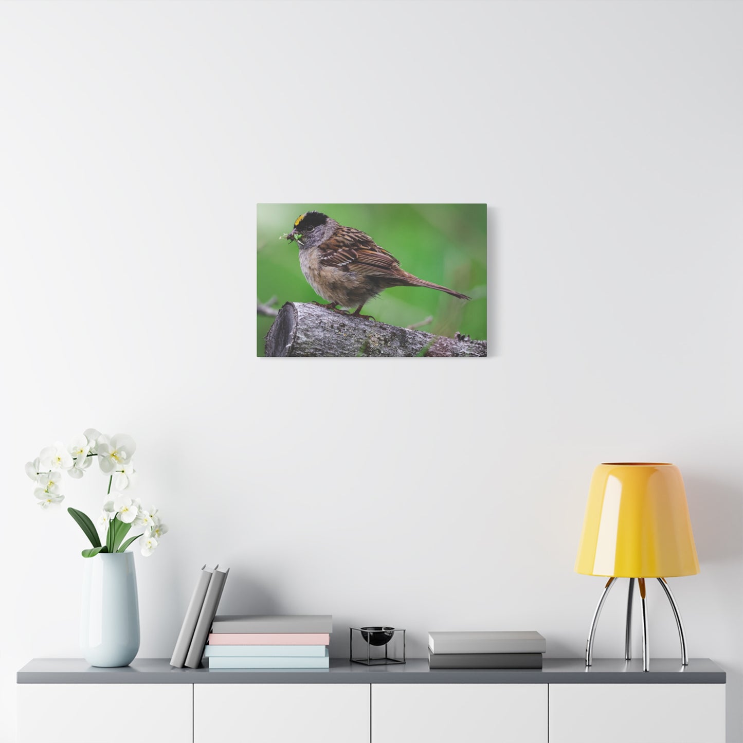 Golden-Crowned Sparrow Canvas Print — Matte Stretched Wall Art