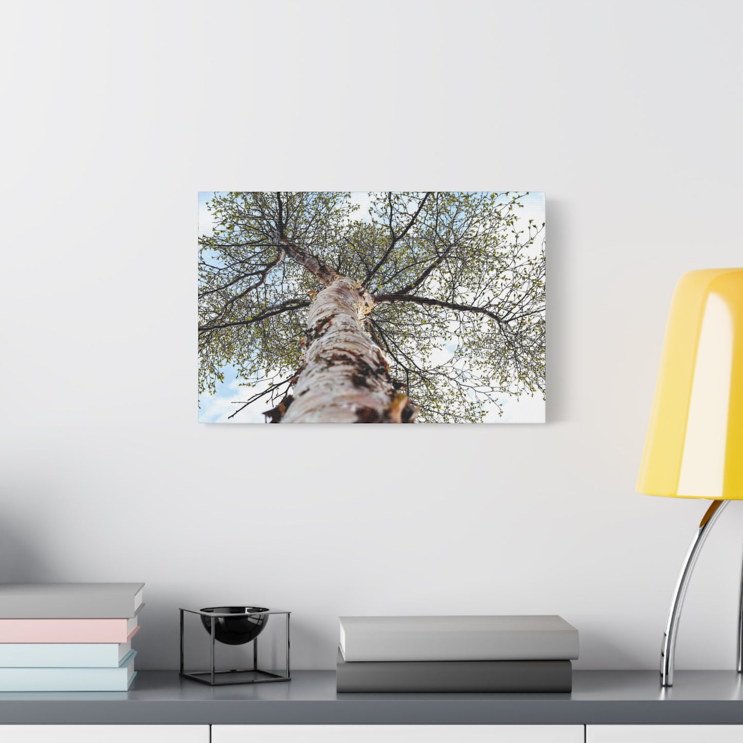 Birch Tree Perspective Matte Canvas Print ~ Nature Wall Art