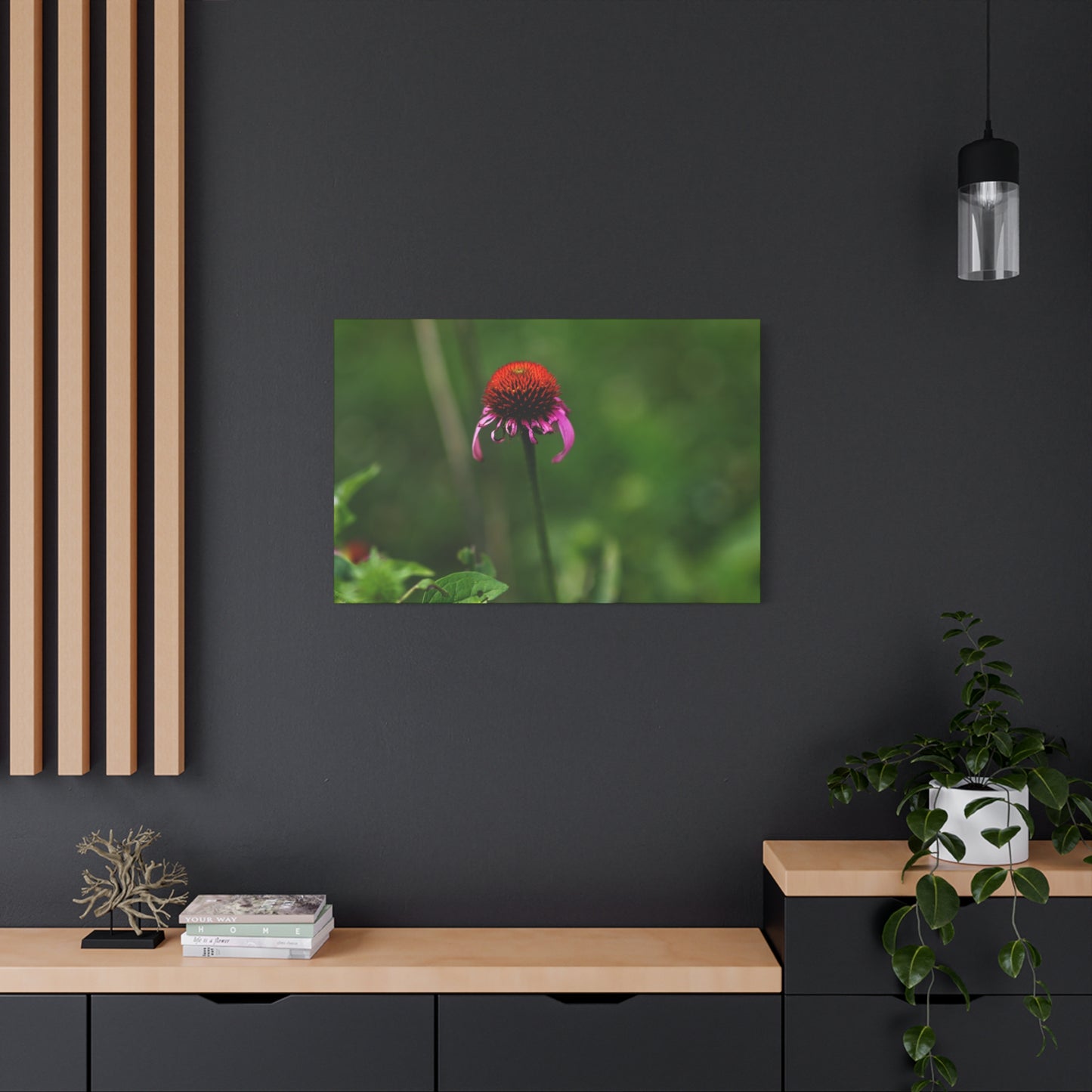 Echinacea Wildflower Canvas Print — Matte Stretched Wall Art