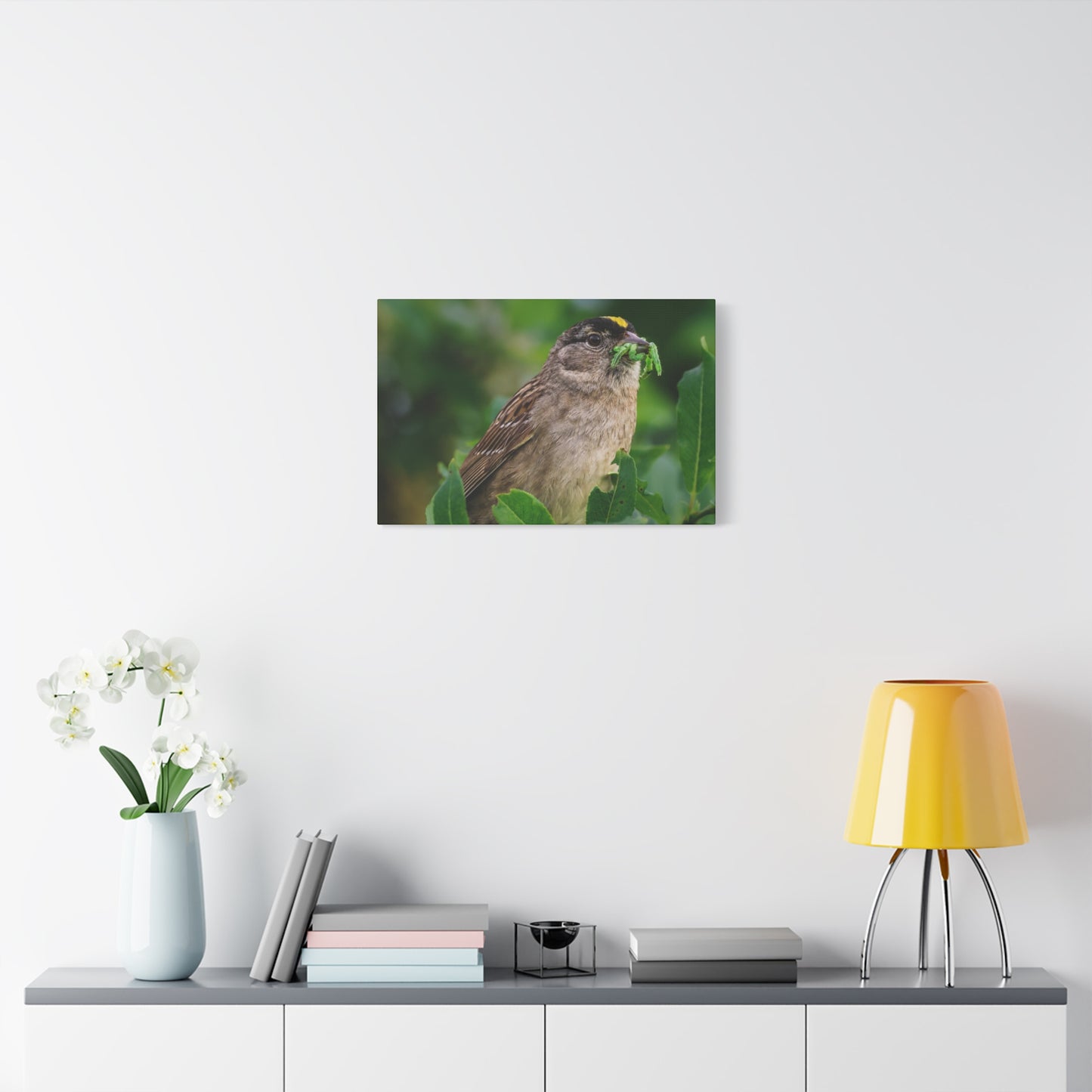Golden-Crowned Sparrow Canvas Print, Bird Photography Wall Art