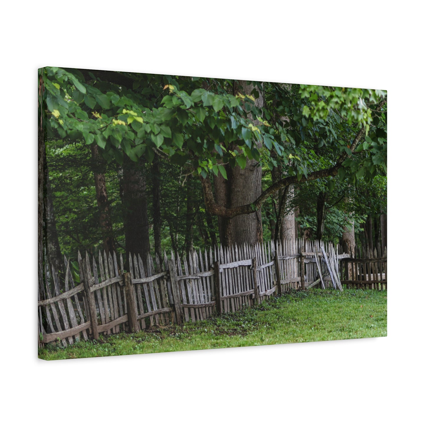 Rustic Split-Rail Fence Canvas Wall Art ~ Forest Landscape Matte Stretched Print