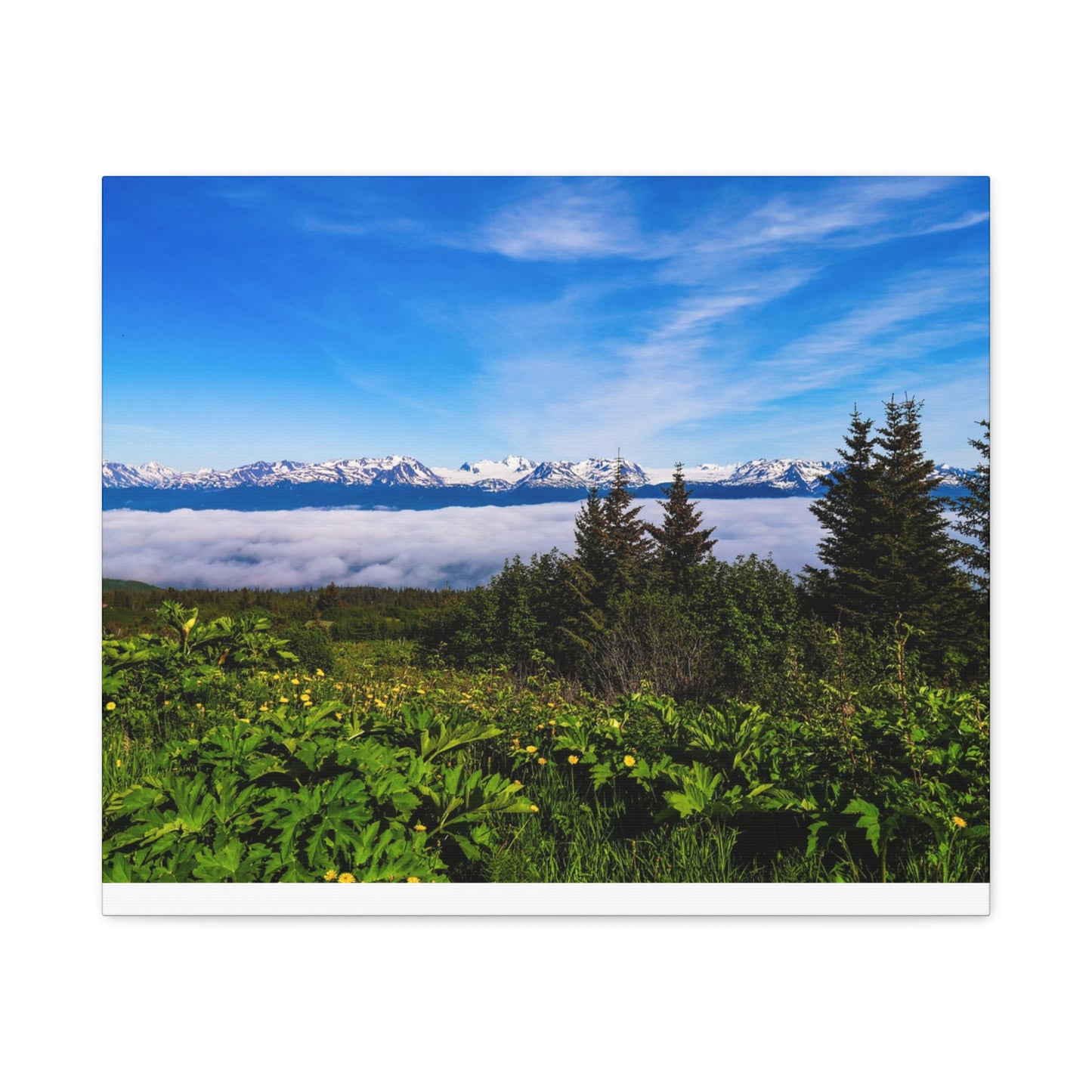 Mountain Meadow Canvas Wall Art ~ Panoramic Alaska Landscape Print
