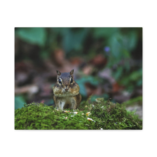 Chipmunk Moss Canvas Art — Woodland Wildlife Matte Stretched Print