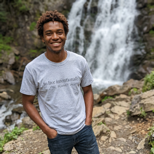 To Live Intentionally Minimalist shirt