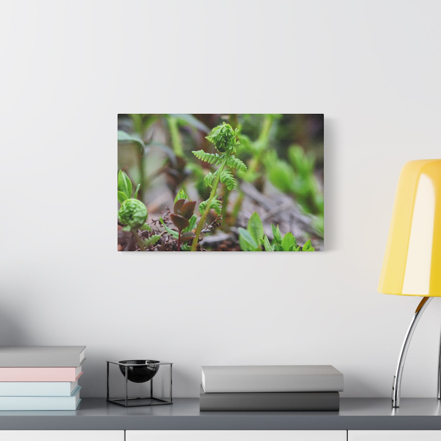 Fiddlehead Fern Matte Stretched Canvas Print ~ Botanical Nature Wall Art