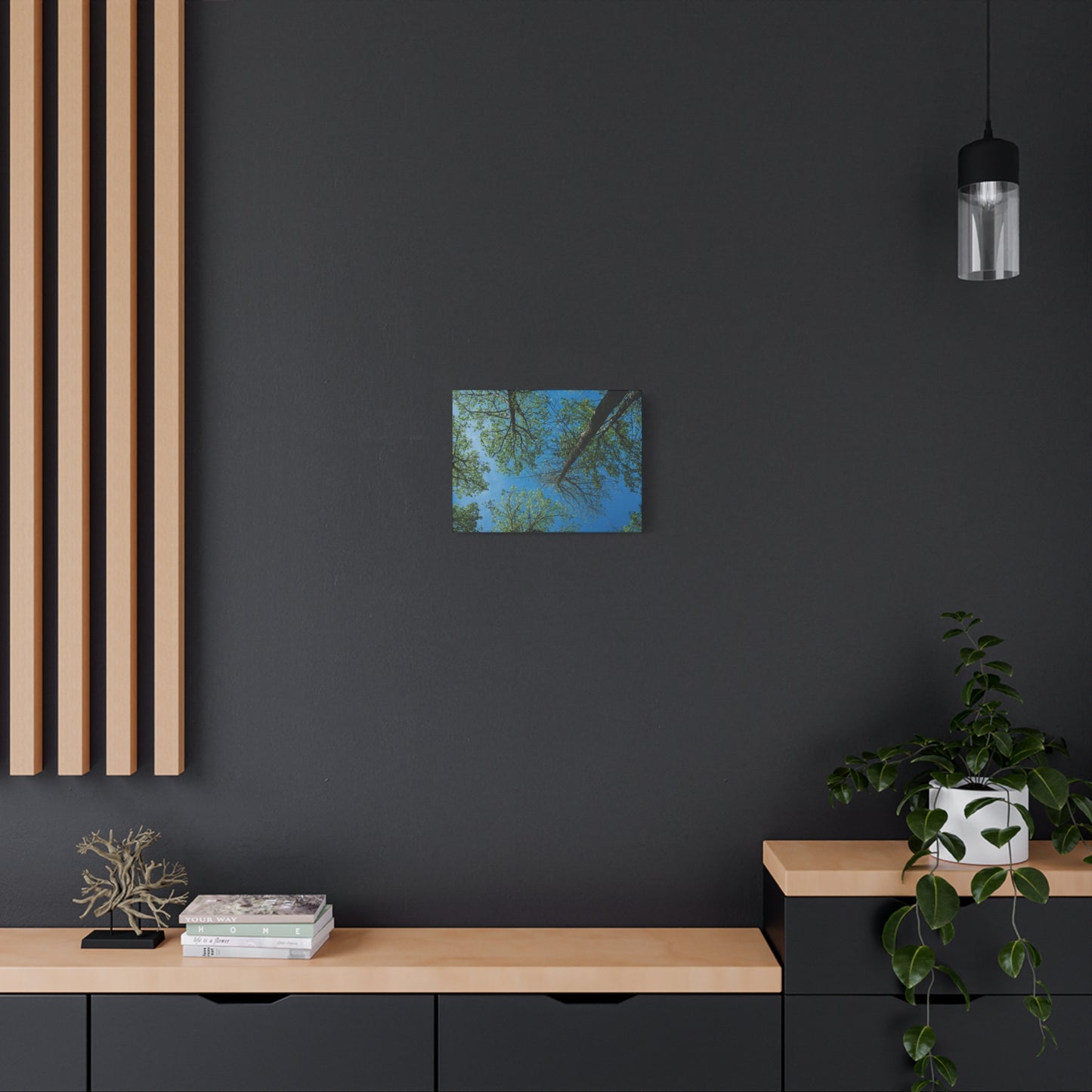 Looking Up Through The Quiet | Stretched Matte Wall Art
