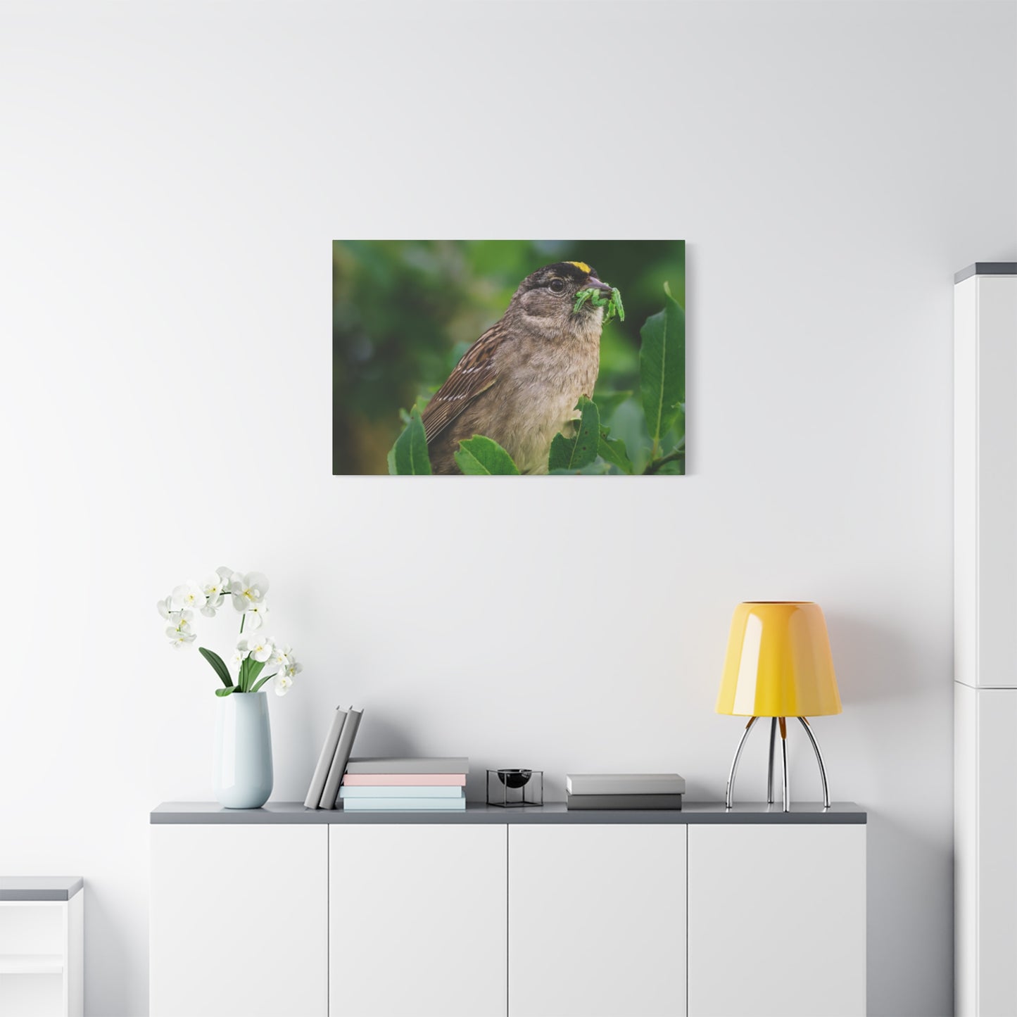 Golden-Crowned Sparrow Canvas Print, Bird Photography Wall Art