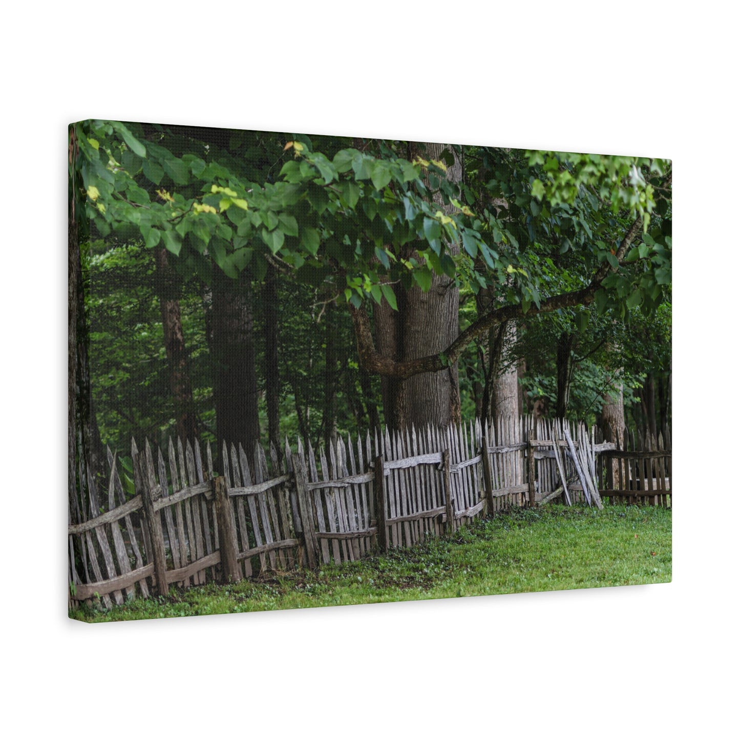 Rustic Split-Rail Fence Canvas Wall Art ~ Forest Landscape Matte Stretched Print