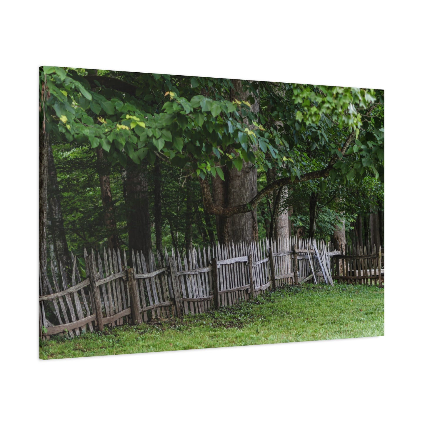 Rustic Split-Rail Fence Canvas Wall Art ~ Forest Landscape Matte Stretched Print