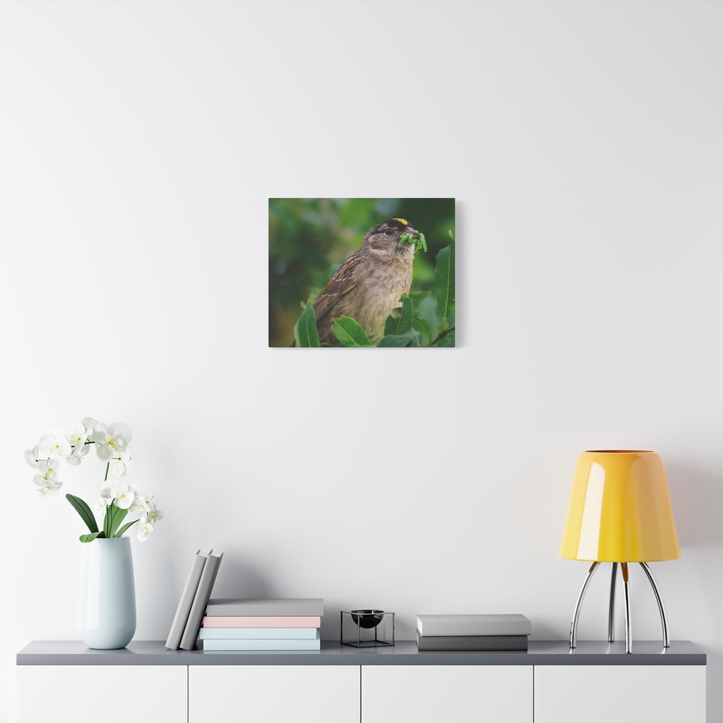 Golden-Crowned Sparrow Canvas Print, Bird Photography Wall Art