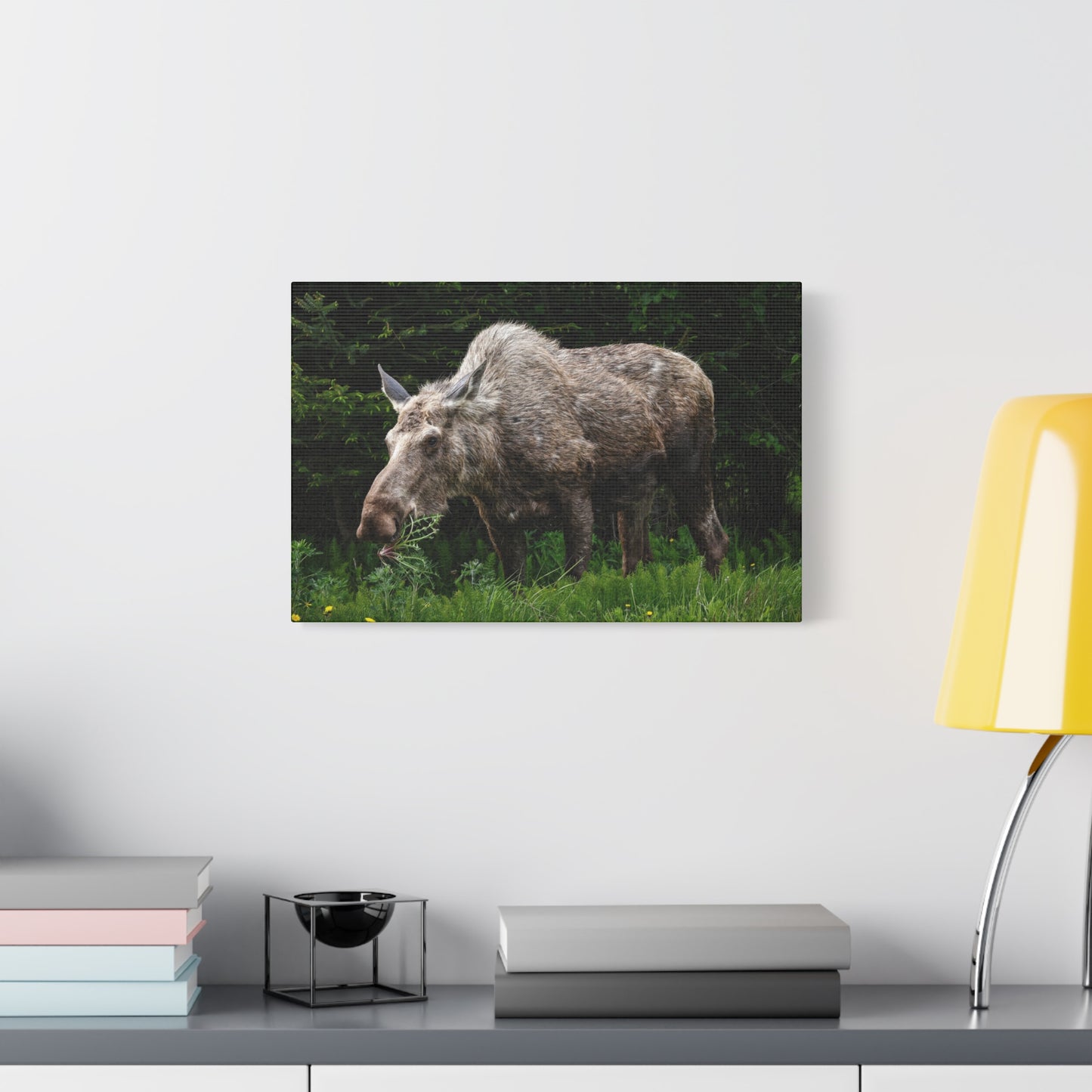 Wild Moose Matte Canvas Print — Rustic Forest Wildlife Wall Art