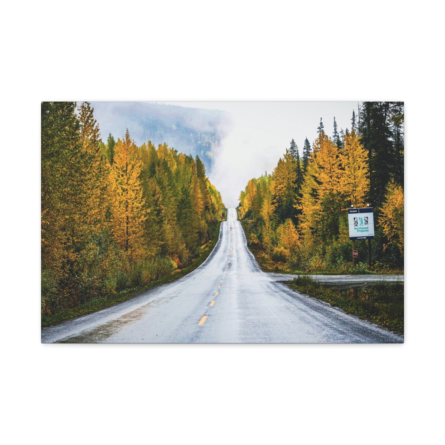 Autumn Highway through Canada Canvas Print ~ Scenic Fall Road Wall Art