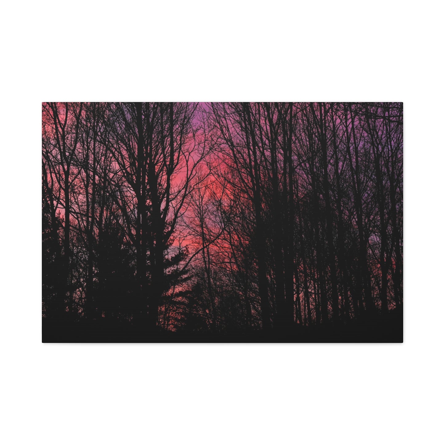 Twilight Forest Silhouette, Soft Pink Sky Print, Calm Moody Nature Wall Art