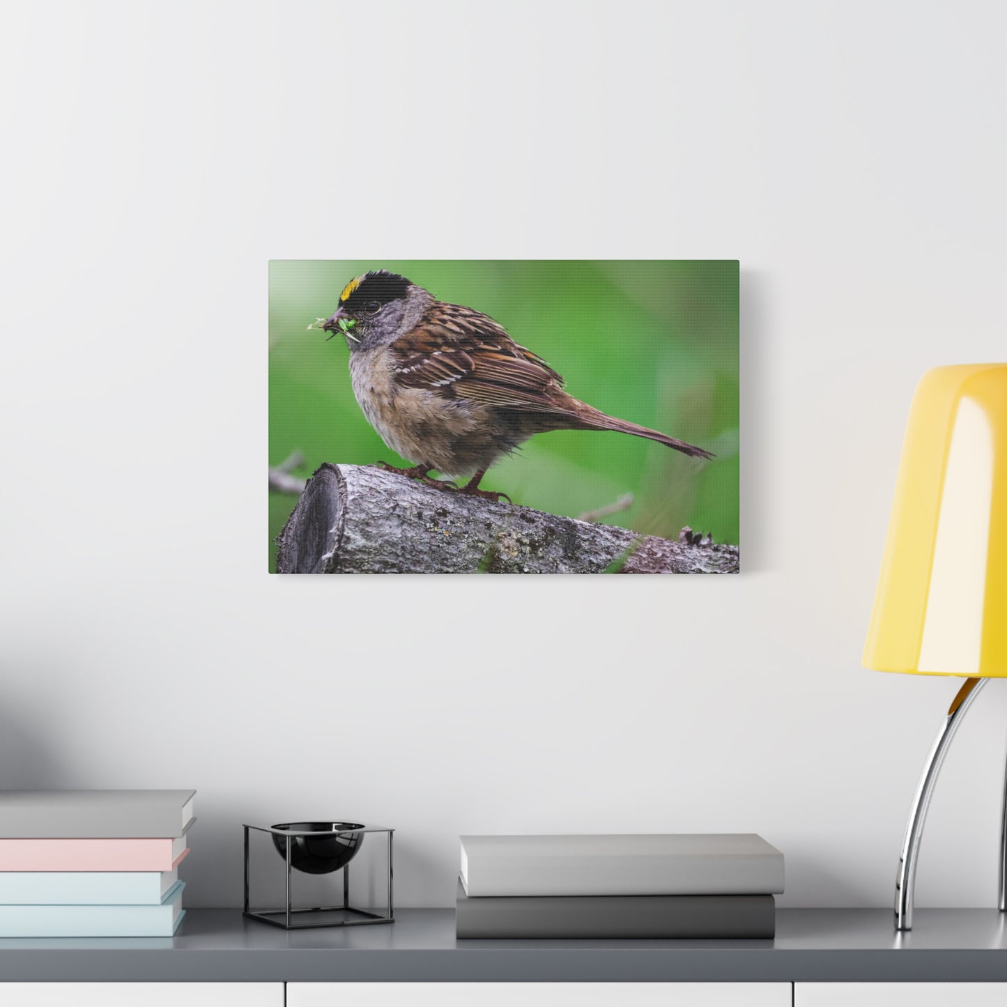 Golden-Crowned Sparrow Canvas Print — Matte Stretched Wall Art