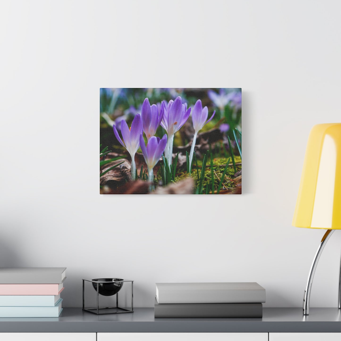 Purple Crocus Spring Flowers Matte Canvas Wall Art, Stretched 1.25"