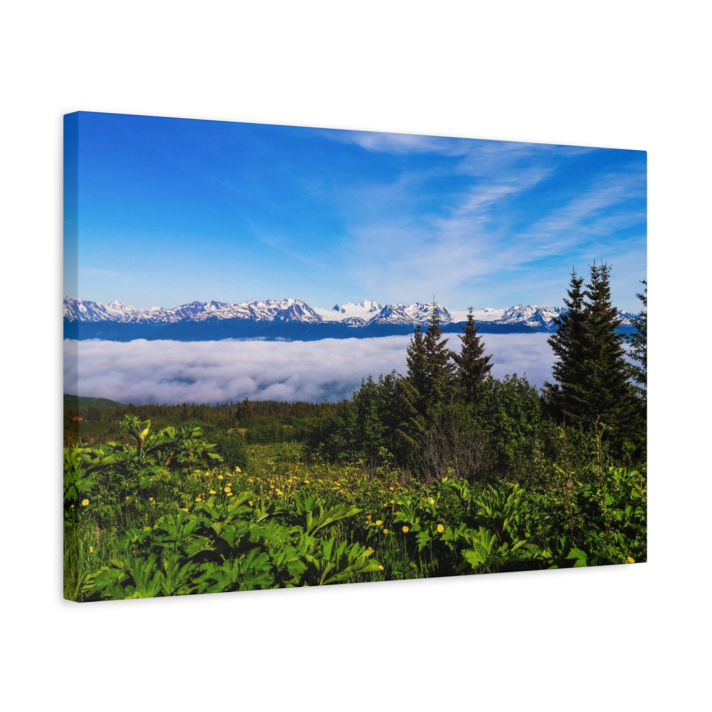 Mountain Meadow Canvas Wall Art ~ Panoramic Alaska Landscape Print