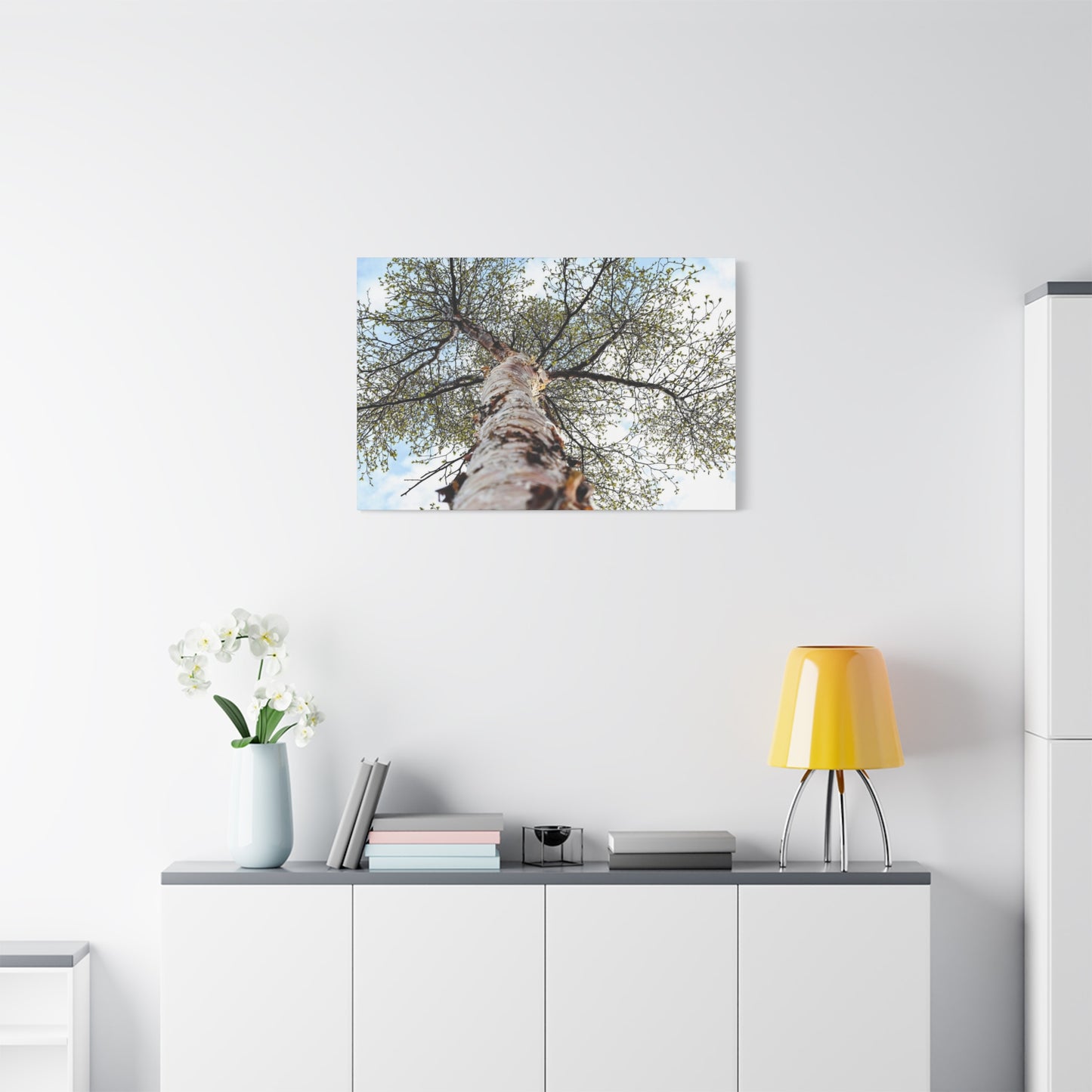 Birch Tree Perspective Matte Canvas Print ~ Nature Wall Art