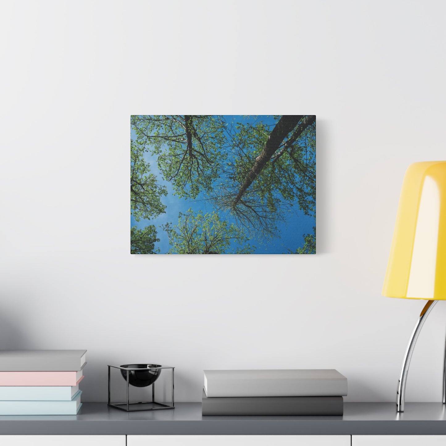 Looking Up Through The Quiet | Stretched Matte Wall Art