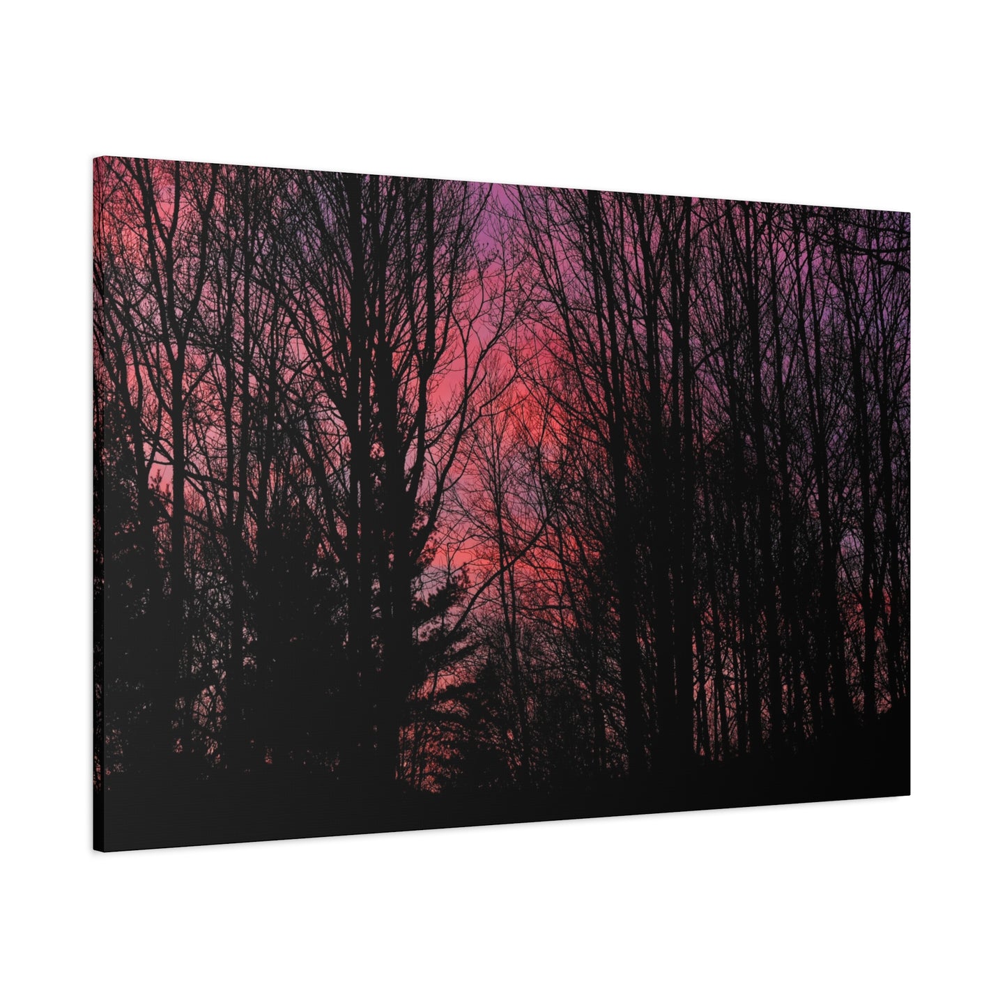 Twilight Forest Silhouette, Soft Pink Sky Print, Calm Moody Nature Wall Art