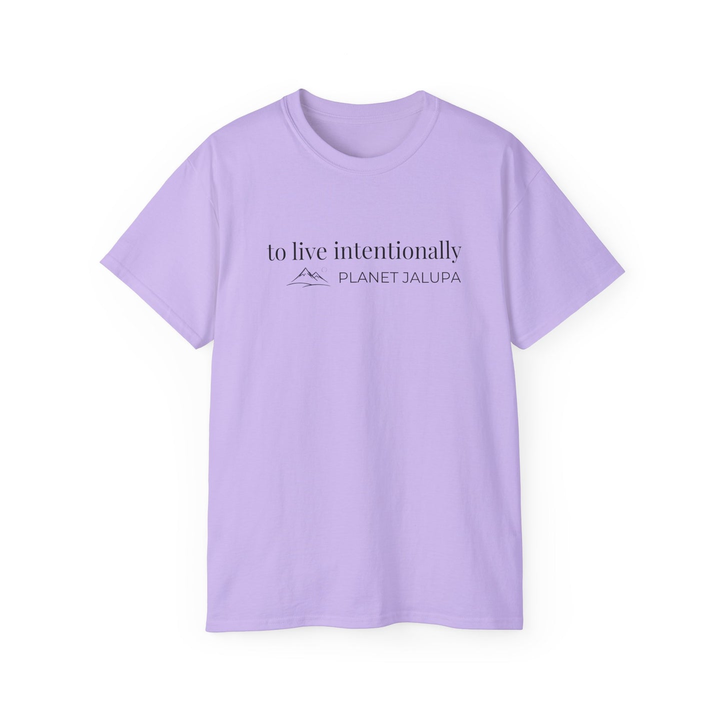 To Live Intentionally ~ Minimal Inspirational T-Shirt