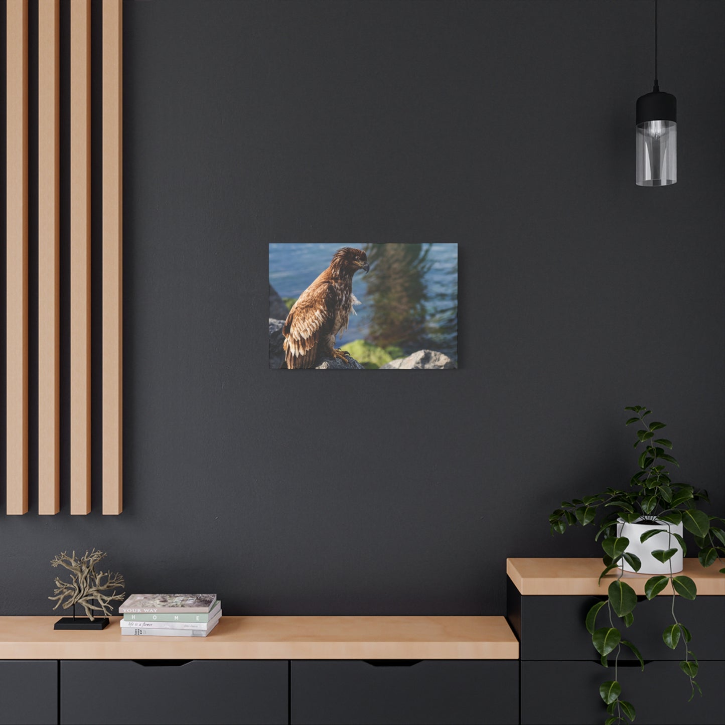 Bald Eagle Canvas Print — Coastal Wildlife Matte Stretched Art