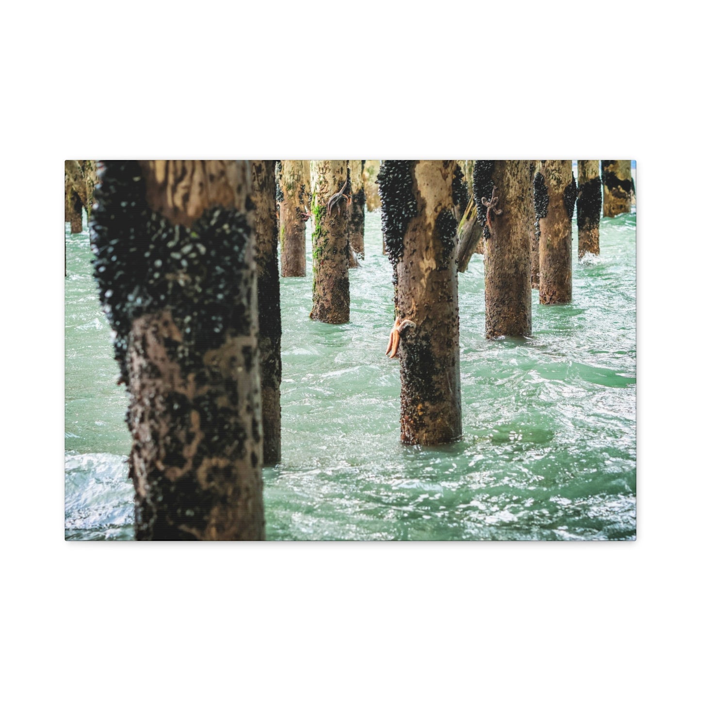 Coastal Pier Photo Canvas – Moody Ocean Pilings Wall Art