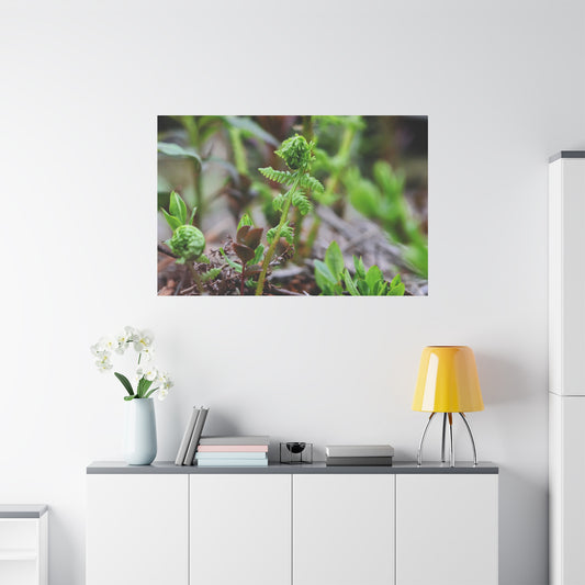 The Unfurling Fern ~ Minimal Botanical Matte Canvas Art