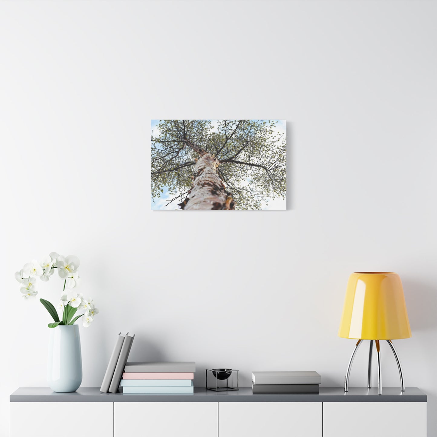 Birch Tree Perspective Matte Canvas Print ~ Nature Wall Art