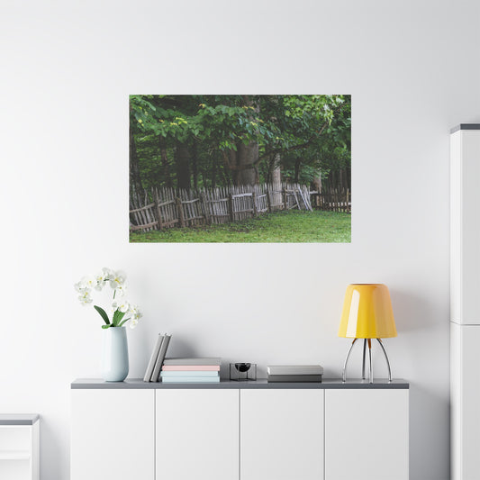Rustic Split-Rail Fence Canvas Wall Art ~ Forest Landscape Matte Stretched Print