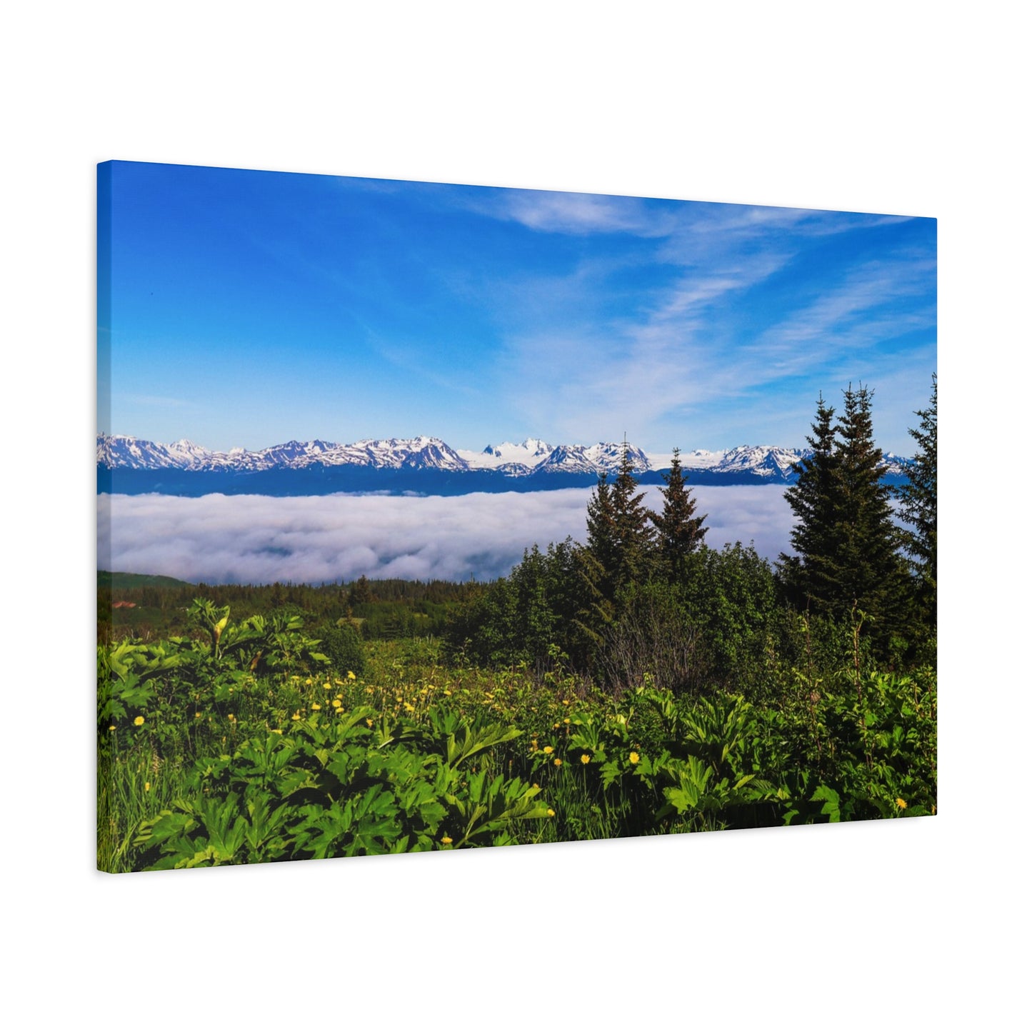 Mountain Meadow Canvas Wall Art ~ Panoramic Alaska Landscape Print