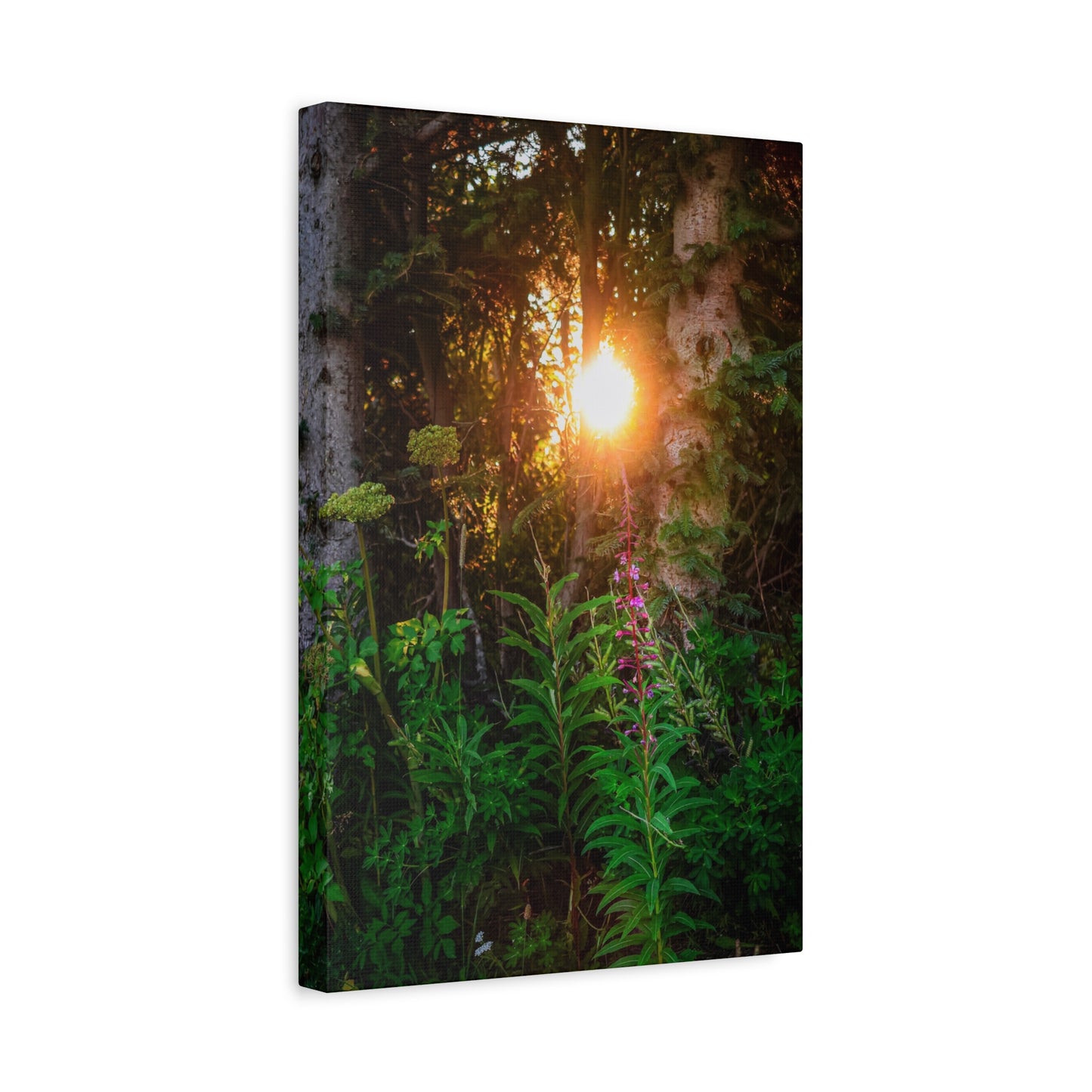 Sunlit Forest Wildflower Canvas Print — Matte Stretched Wall Art