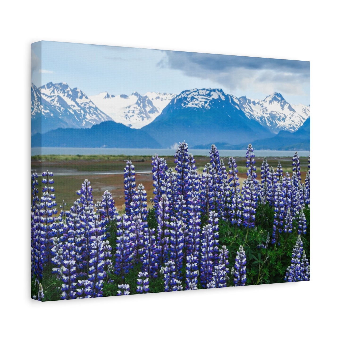 Lupine Coastal Canvas Print — Purple Wildflower Wall Art