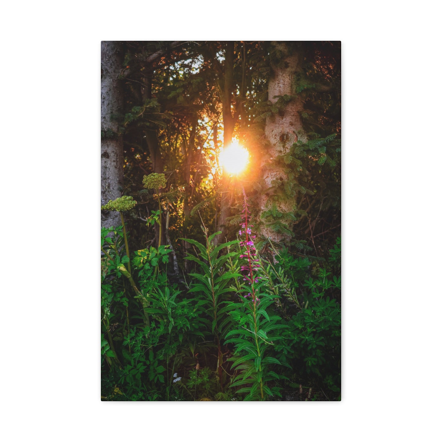 Sunlit Forest Wildflower Canvas Print — Matte Stretched Wall Art