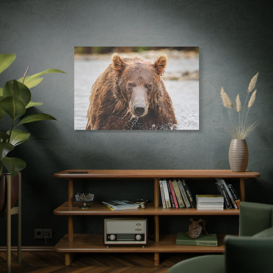Katmai Brown Bear Close-Up – Alaska Wildlife Canvas Print, 1.25” Stretched, Nature Wall Art