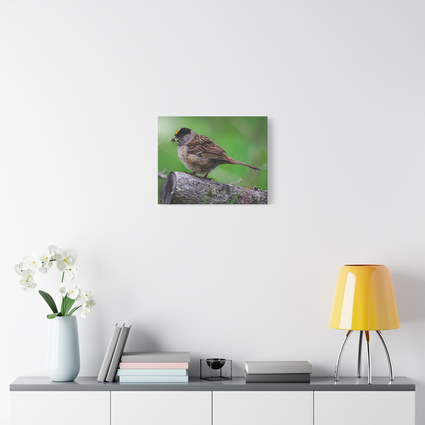 Golden-Crowned Sparrow Canvas Print — Matte Stretched Wall Art