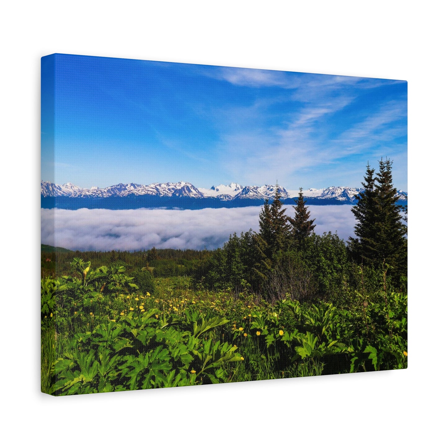 Mountain Meadow Canvas Wall Art ~ Panoramic Alaska Landscape Print
