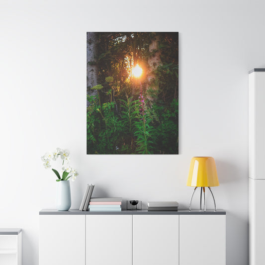 Sunlit Forest Wildflower Canvas Print