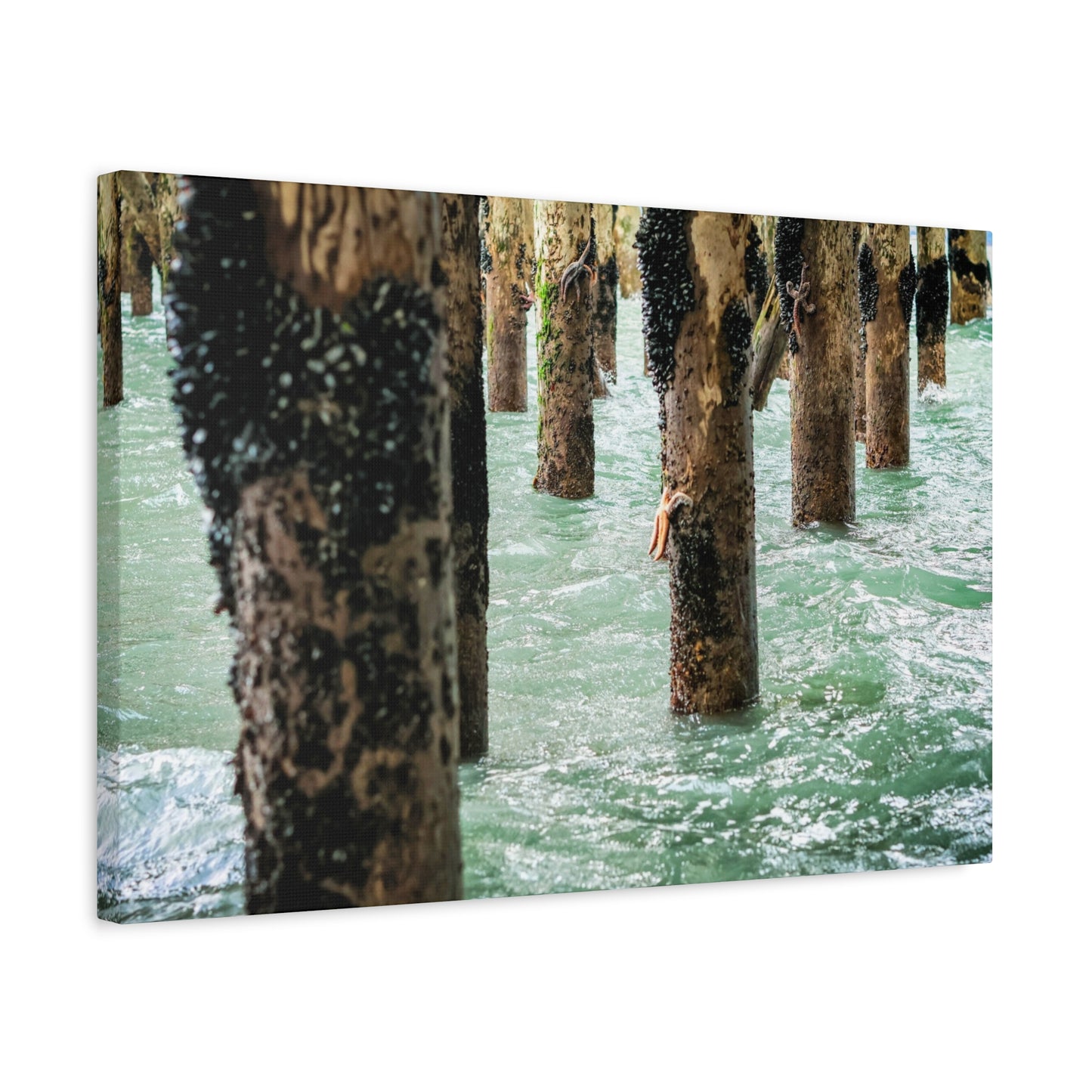 Coastal Pier Photo Canvas – Moody Ocean Pilings Wall Art