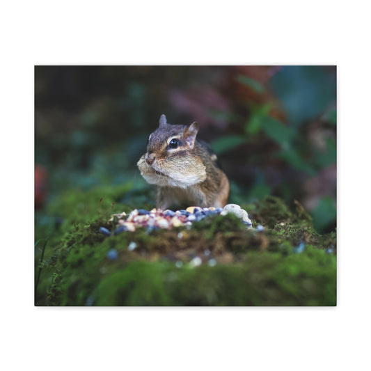 Chipmunk Close-Up Matte Canvas Wall Art ~ Cute Wildlife Photography