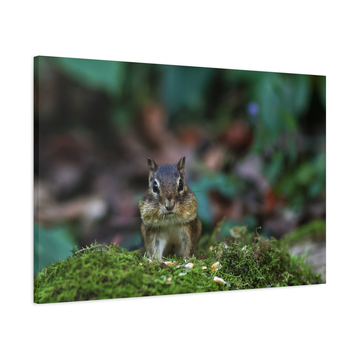 Chipmunk Moss Canvas Art — Woodland Wildlife Matte Stretched Print