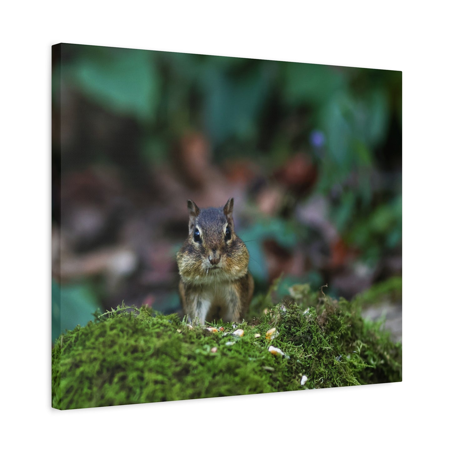 Chipmunk Moss Canvas Art — Woodland Wildlife Matte Stretched Print