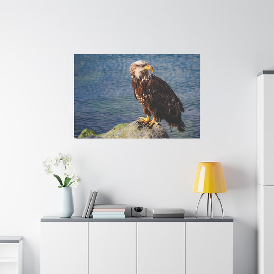 Bald Eagle Wildlife Canvas Print ~ Matte Stretched Wall Art