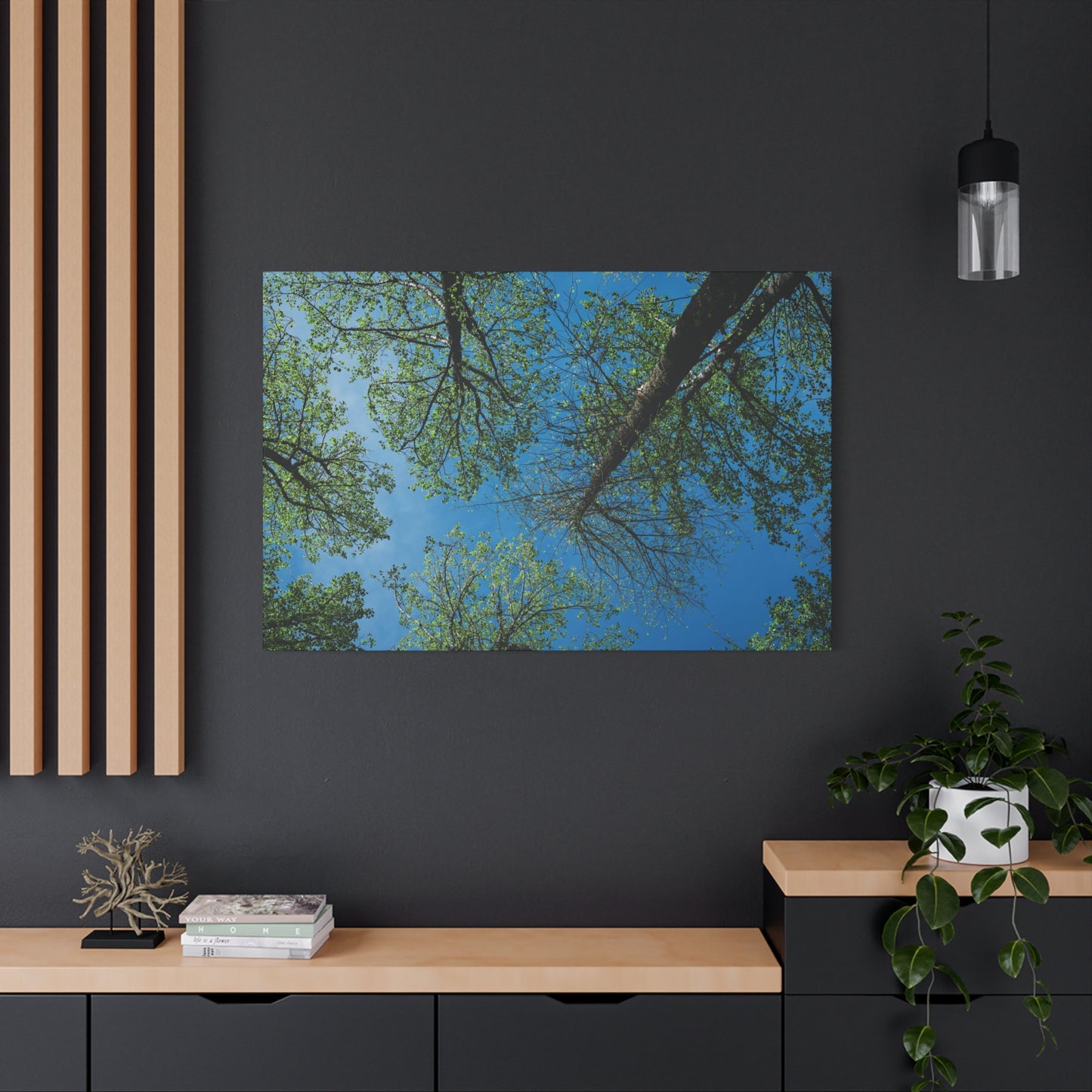 Looking Up Through The Quiet | Stretched Matte Wall Art