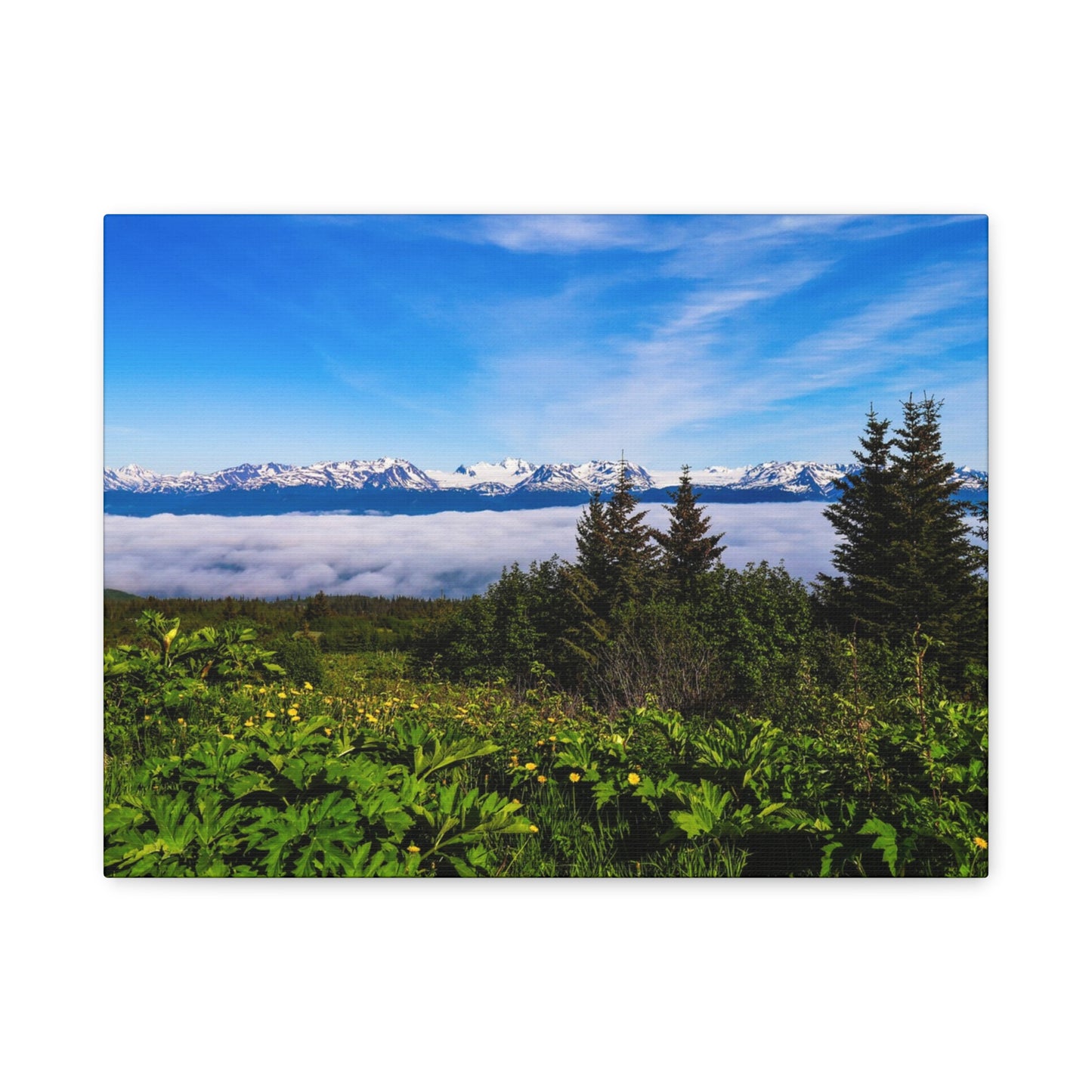Mountain Meadow Canvas Wall Art ~ Panoramic Alaska Landscape Print