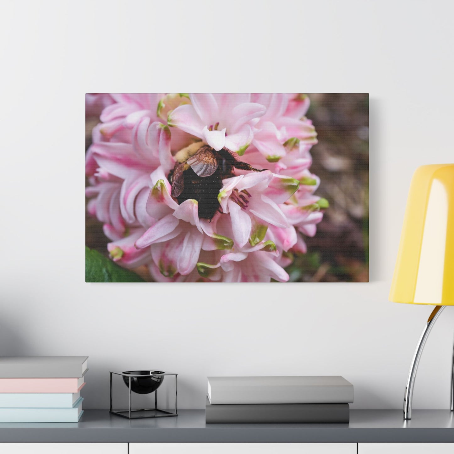 Pink Hyacinth Bee Canvas