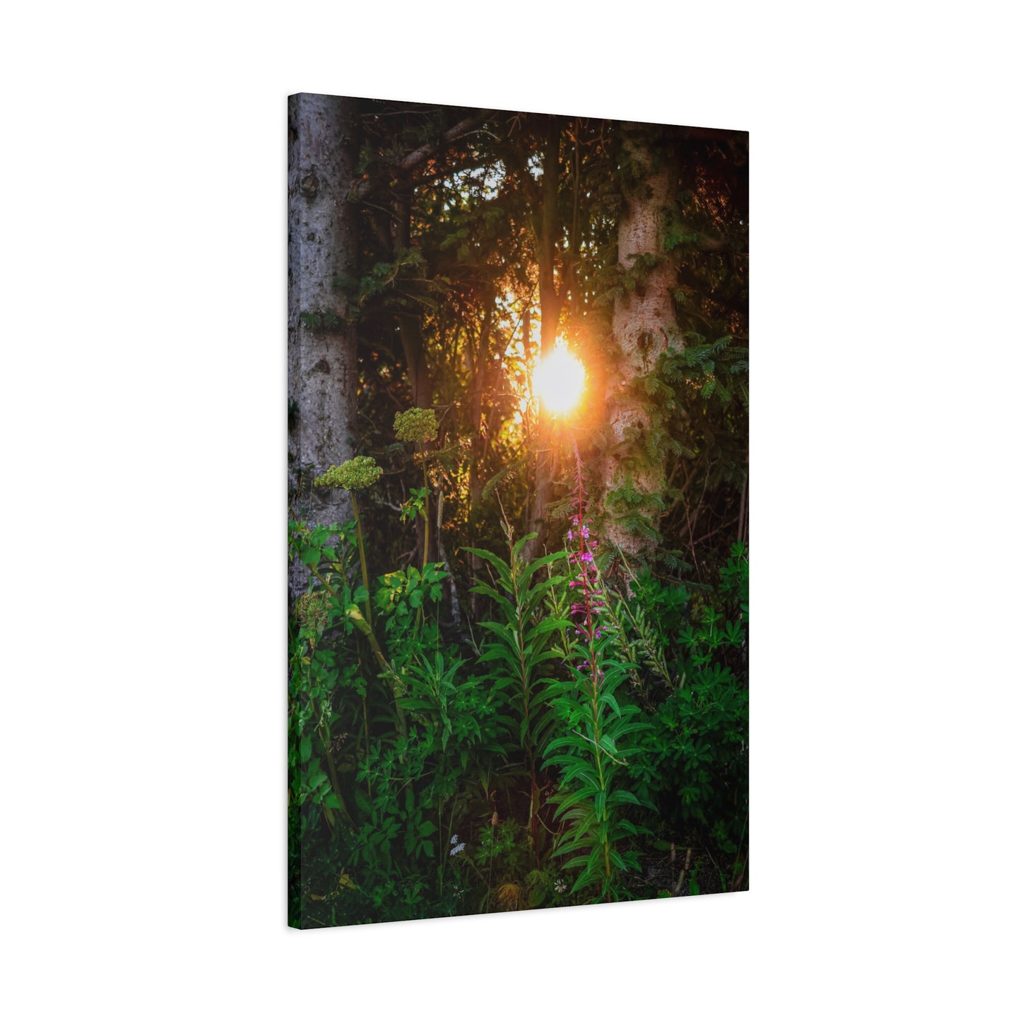 Sunlit Forest Wildflower Canvas Print — Matte Stretched Wall Art