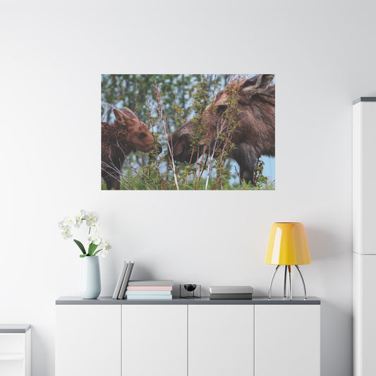Moose Mama & Calf Matte Canvas Wall Art