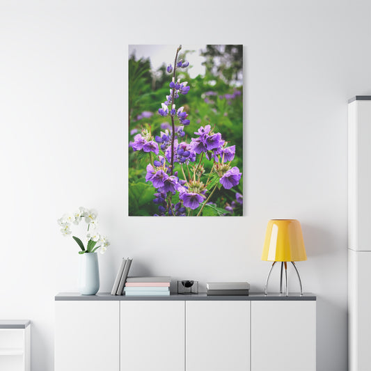 Purple Wildflower Canvas Print – A Quiet Botanical Study